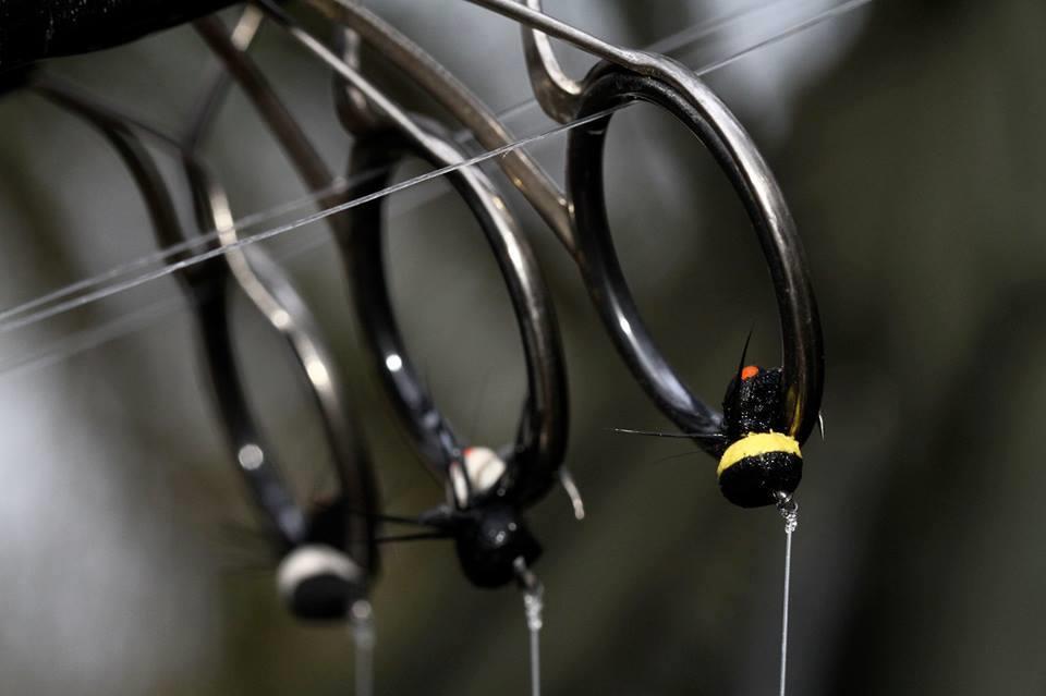 Carp Fishing - Zig-Bug